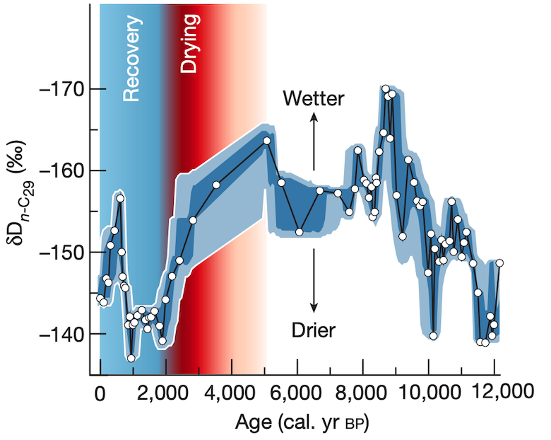 Chart showing the hydrogen isotopes from the plant waxes in the peat core, reflecting rainfall at the time the plant was produced.