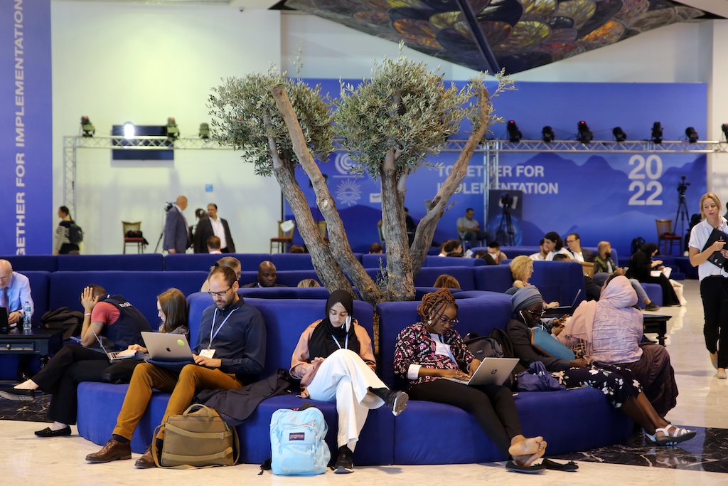 Delegates at the COP27 venue