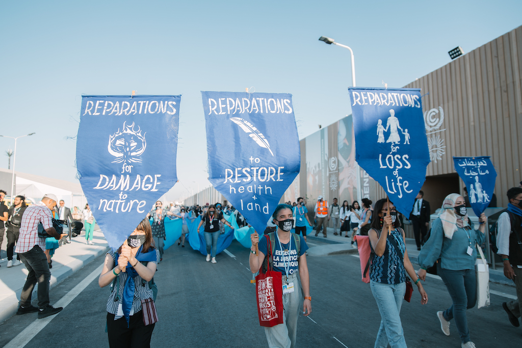 Flood the COP protest at COP27