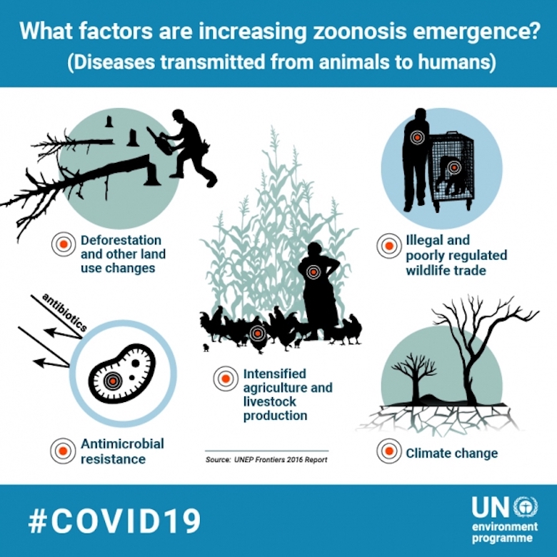 An infographic summarising environmental risk factors that can create zoonotic diseases.