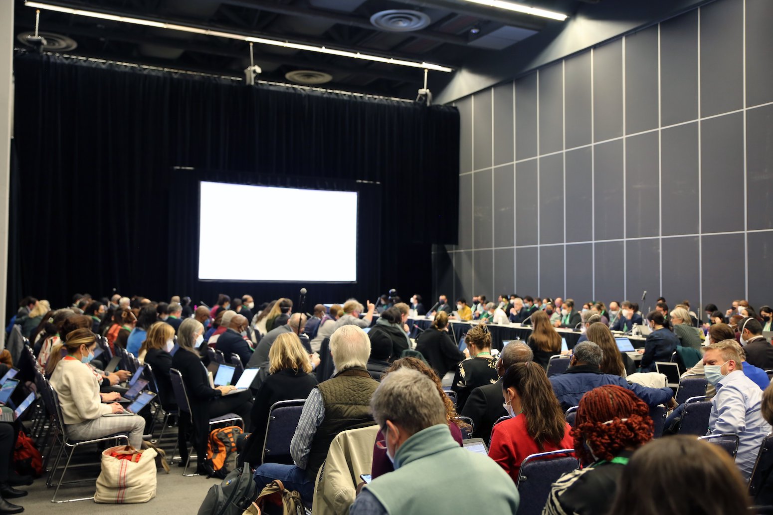 Interactive: Tracking progress at the COP15 biodiversity summit – Carbon Brief