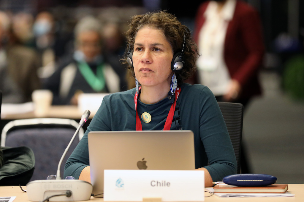 Former IPCC climate scientist and Chile’s environment minister Maisa Rojas was one of the co-facilitators for final negotiations on genetic resources and benefit-sharing.