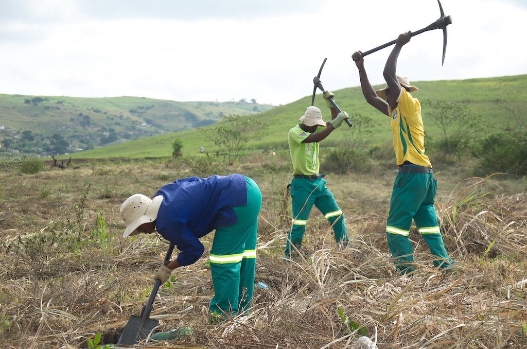 Tree planting, at the Buffelsdraai Landfill Site Community Reforestation Project.