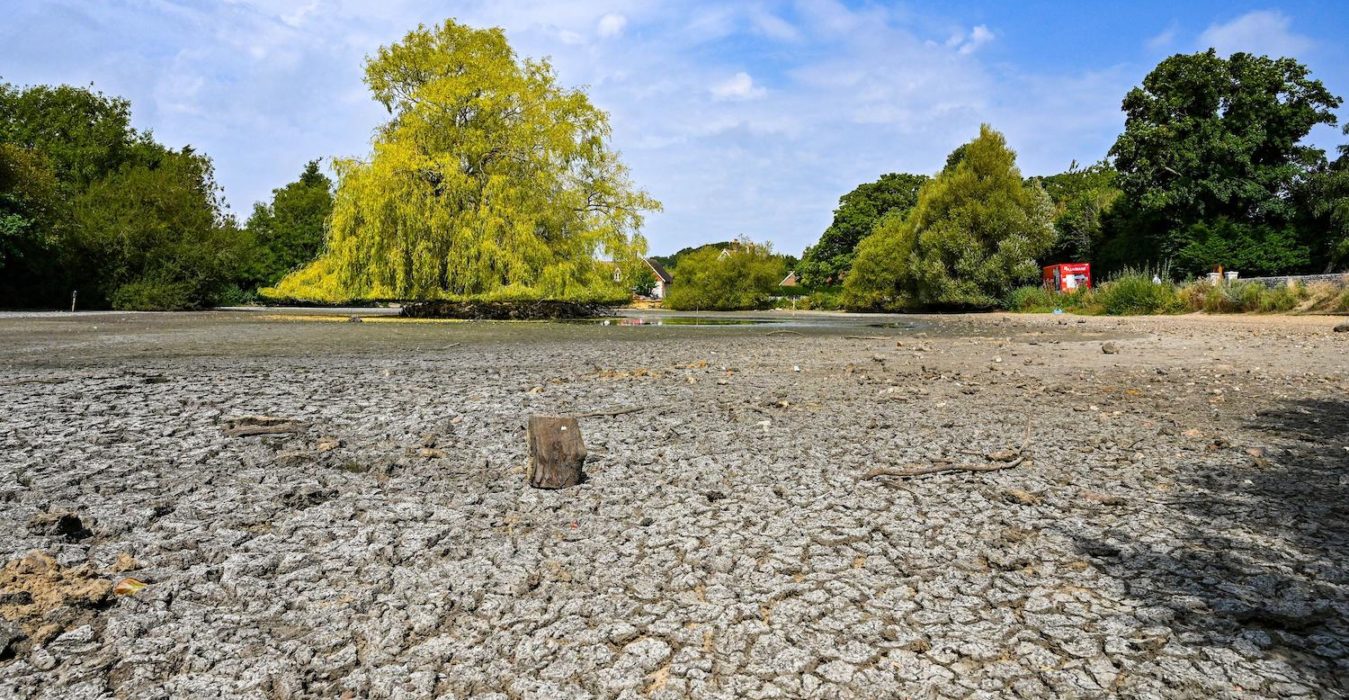 An ancient Saxon pond in Brighton is completely dried out due to drought conditions in the the 2022 UK heatwave.