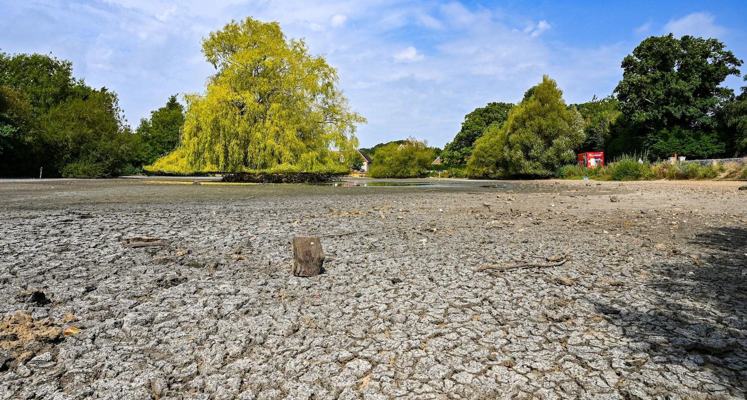 An ancient Saxon pond in Brighton is completely dried out due to drought conditions in the the 2022 UK heatwave.