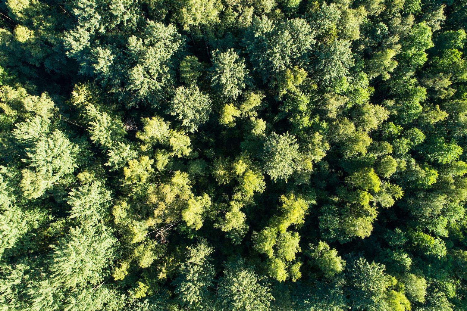 Guest post: The state of ‘carbon dioxide removal’ in seven charts – Carbon Brief