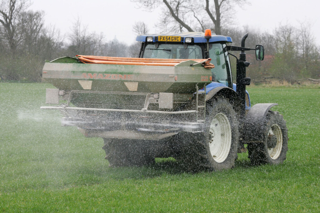 Applying nitrogen fertiliser to winter wheat.