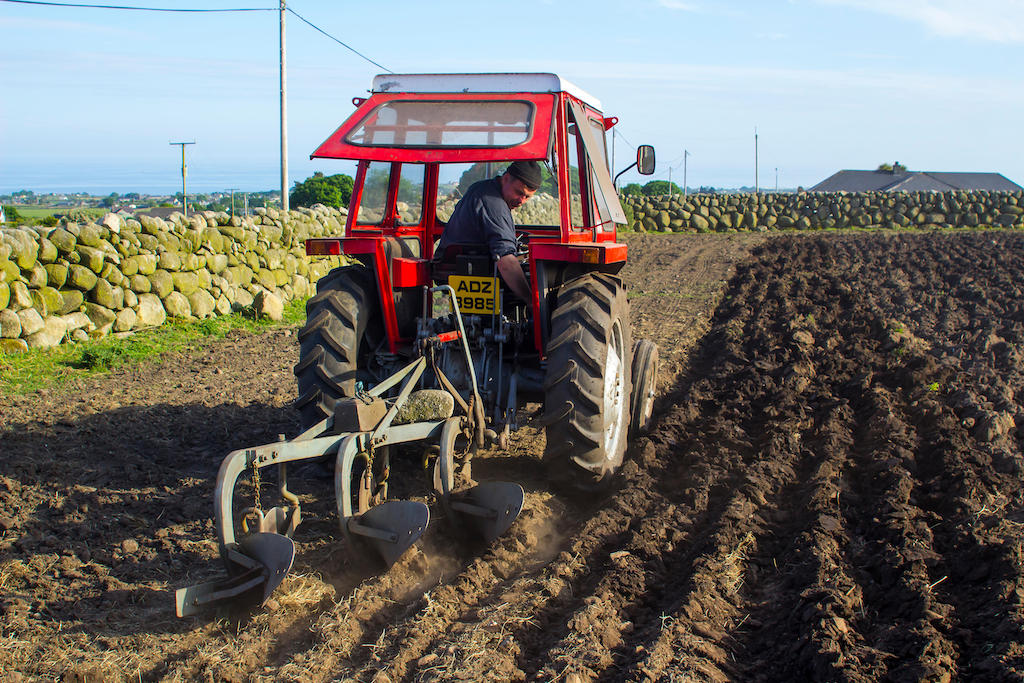 A small Massey Ferguson tractor and plough at work in a field near the Mountains of Mourne in Northern Ireland, UK.