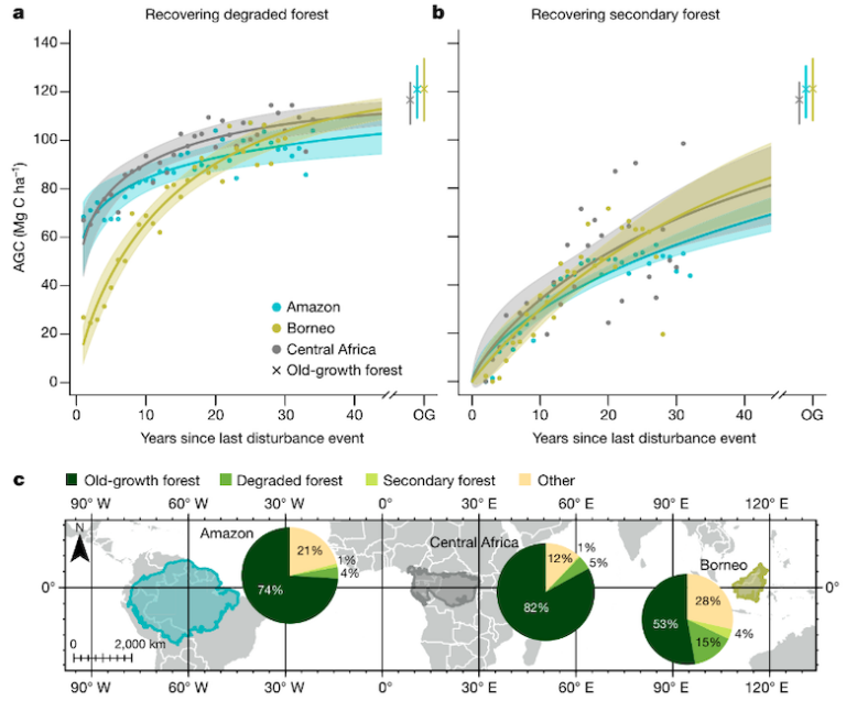 Regrowth of degraded tropical forests offsets ‘a quarter’ of ... Biology Diagrams