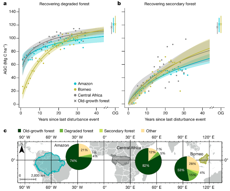 Accumulation of aboveground carbon as a function of time since last disturbance in degraded forests (top left) and secondary forests (top right) for three different regions.