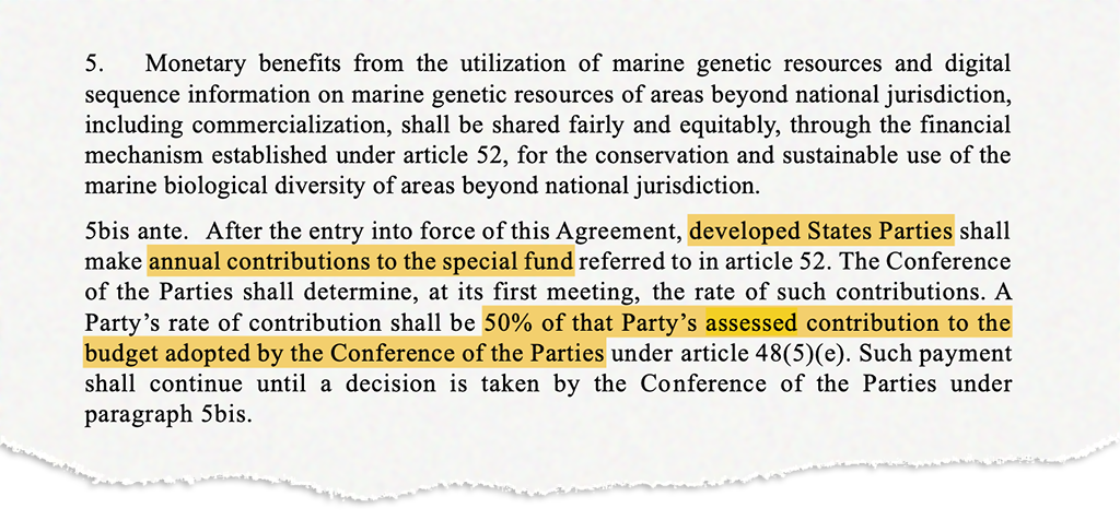 Section 5 ragout