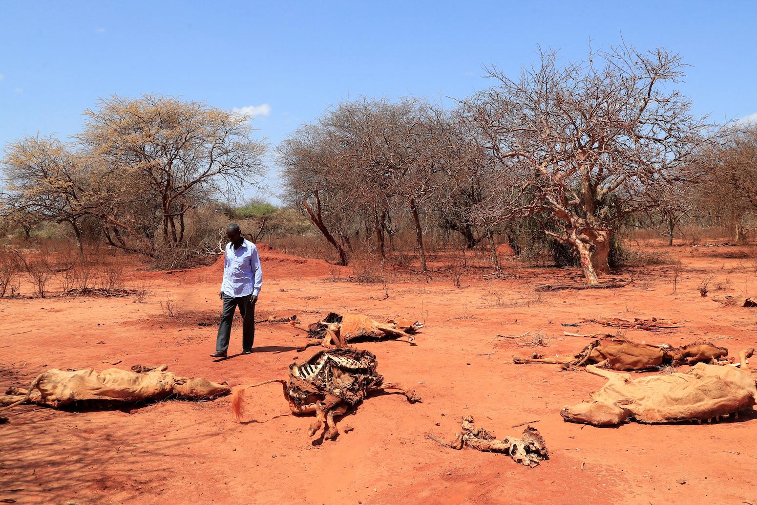 droughts in africa map