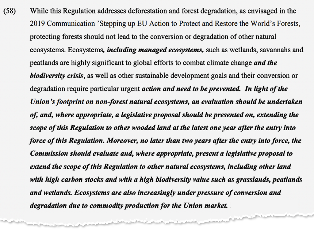 Forests are the main ecosystems the EU deforestation law currently aims to protect, but grasslands, peatlands and savannas could be included in that list within two years. 