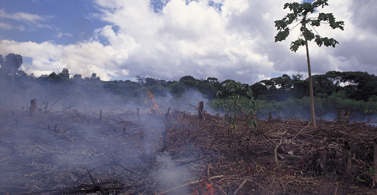 Burning of Amazon rainforest to clear land for agriculture or cattle ranching in Brazil.