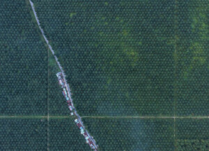 Q&A: What does the EU’s new deforestation law mean for climate and ...