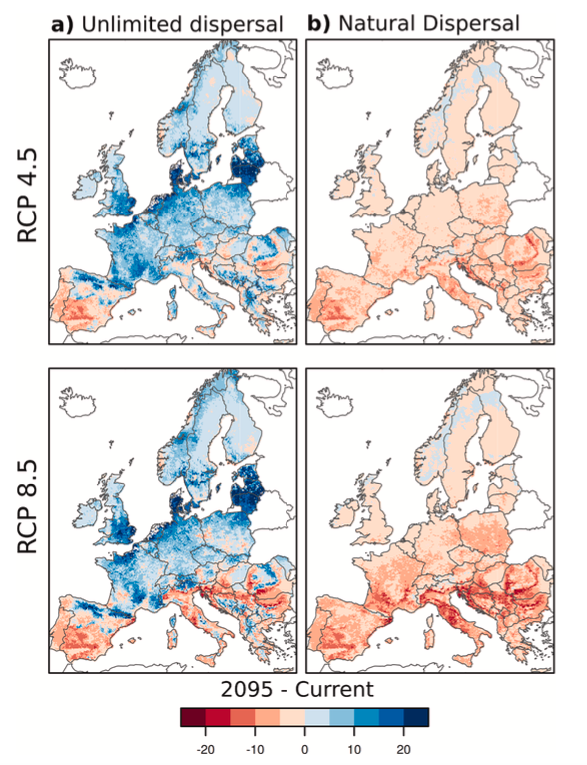 Percentage changes in tree species richness by the end of the 21st century compared to today under a moderate emissions scenario (top) and a very high emissions scenario (bottom).