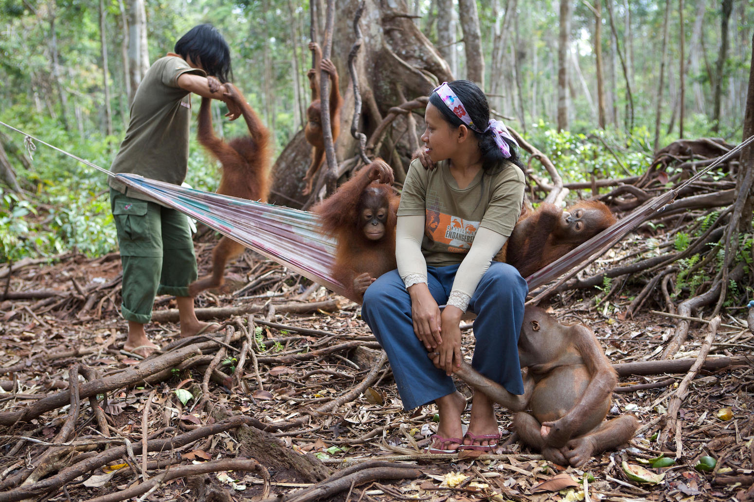 Explainer: How ending gender violence will help deliver conservation goals - Vimarsana News