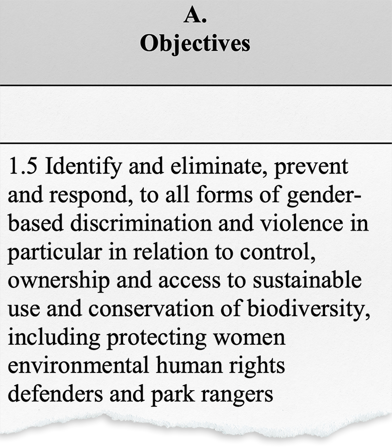 Gender-based violence against women conserving nature appears in one of the objectives of the “gender plan of action”, adopted in December 2022 at the UN Biodiversity Summit COP15. 