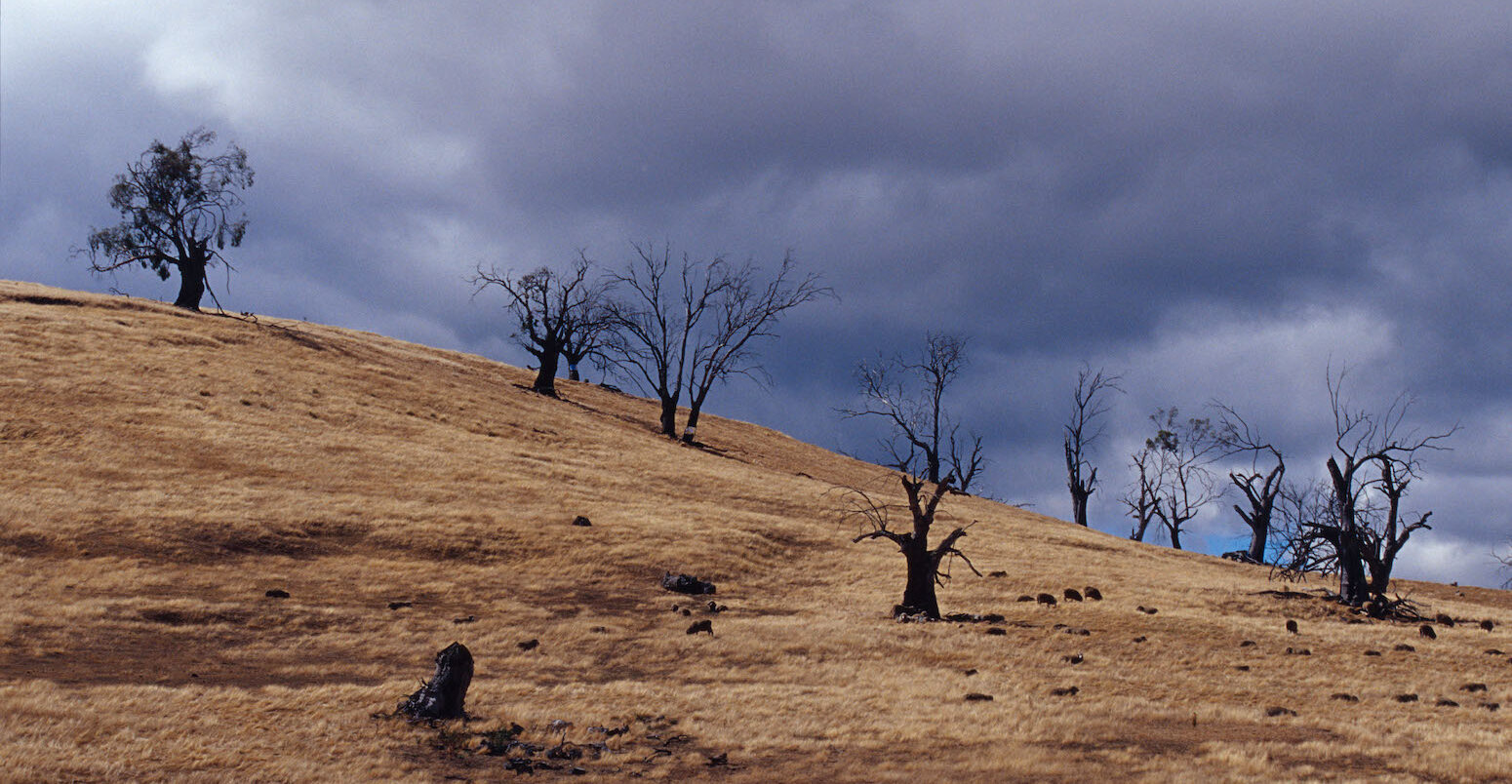 Farmland destroyed by drought, over grazing and erosion.