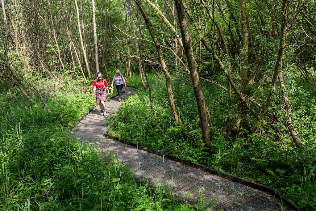 Two women walk on boardwalk in Bryn Arw nature reserve near Abergavenny, Wales, UK.