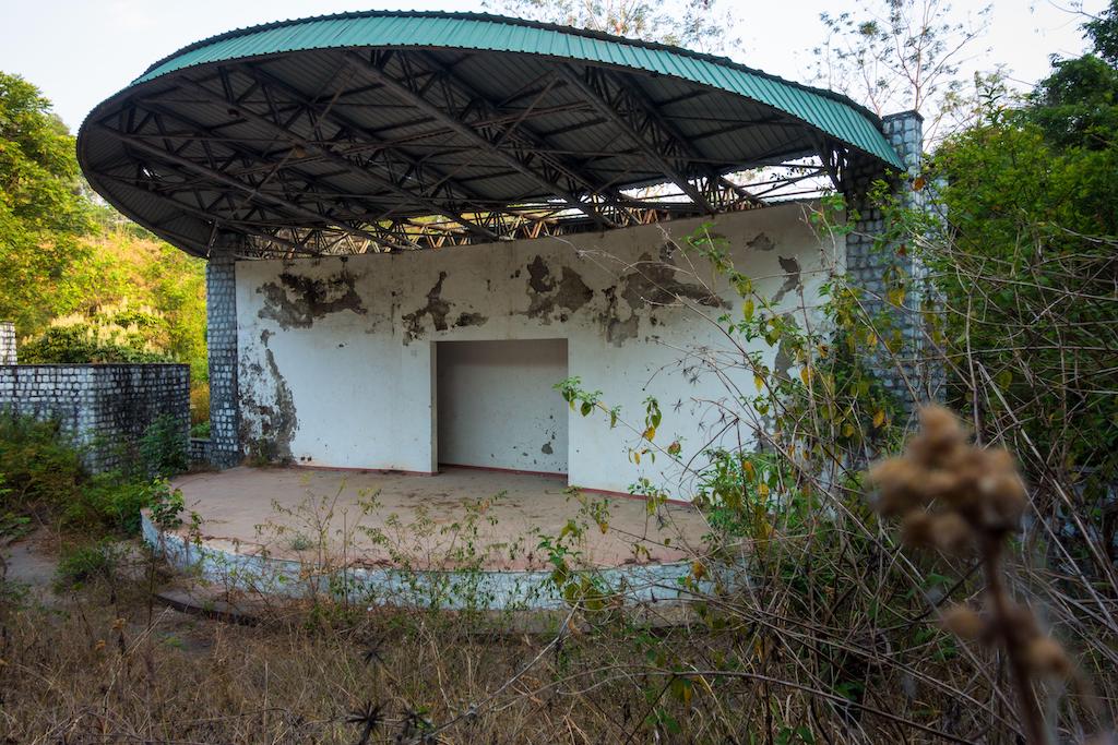Empty remains of an auditorium now full of wild vegetation.