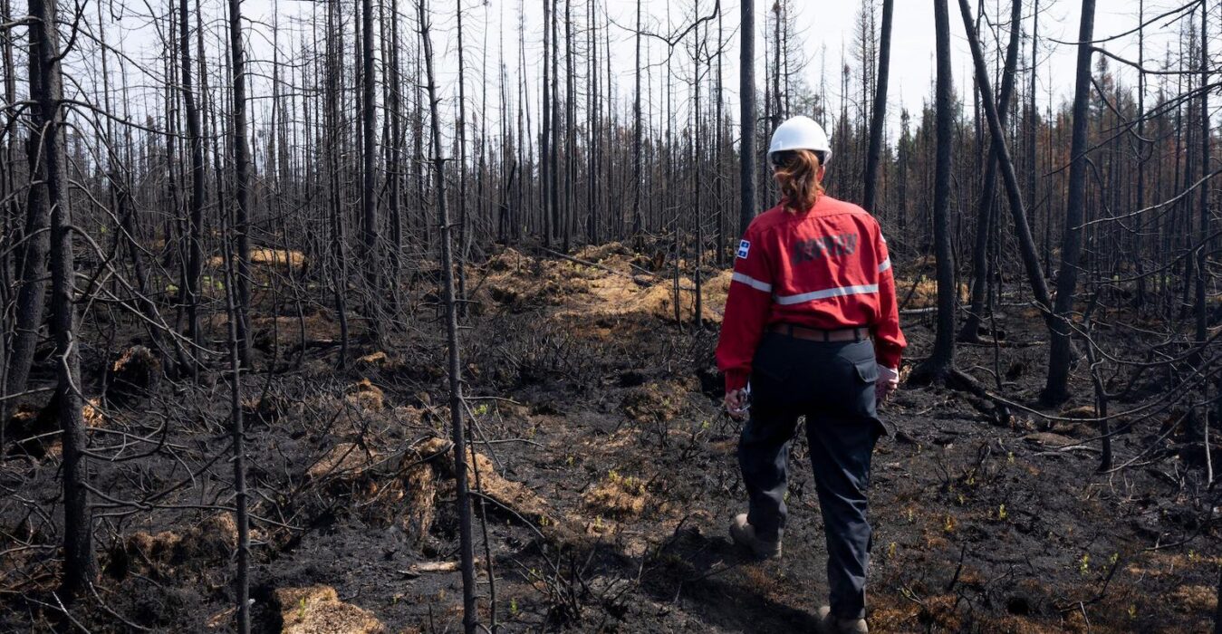 Eastern Canada wildfires: Climate change doubled likelihood of ‘extreme ...