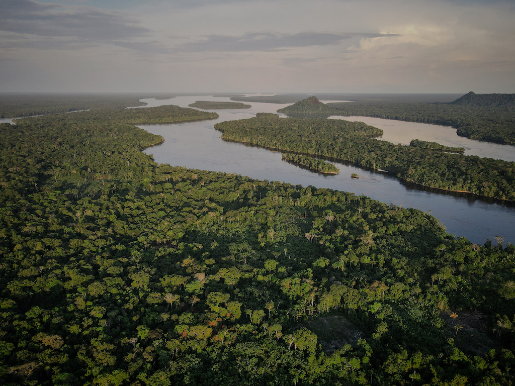 A drone shot of the Amazon forest. 
