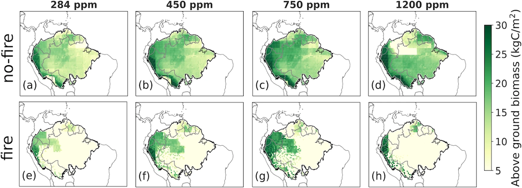 Maps showing the regrowth of the Amazon rainforest over the last 10 years of the “recovery stage” in scenarios with no fire (top) and with fire (bottom). 