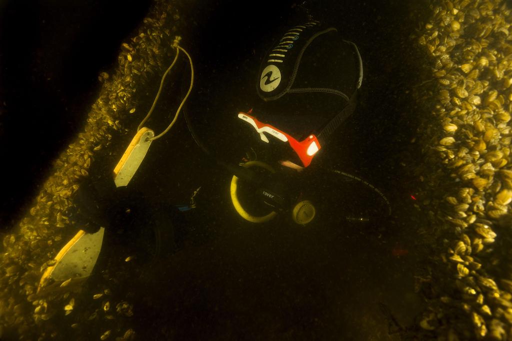 An underwater archaeologist cleans a wrecked wooden boat from “biofouling” of zebra mussels.