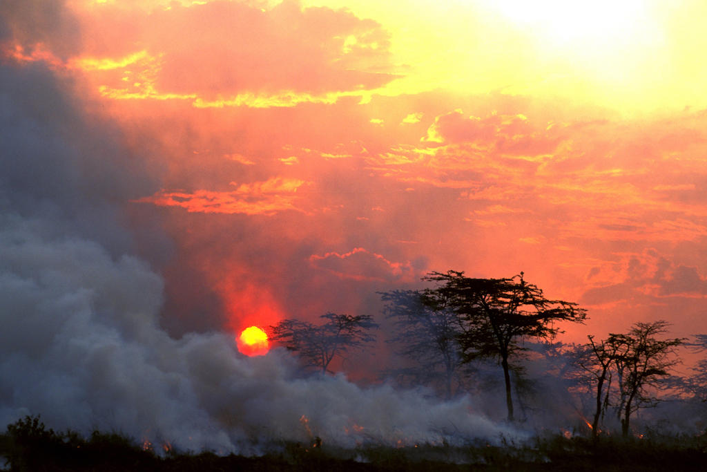 Fire lit by Maasai people to promote grass growth for their cattle, Kenya, 2015. Image ID: H3W3MJ.