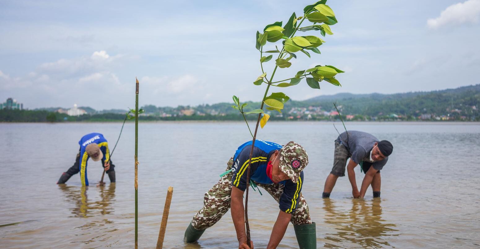 Men plant mangrove seedlings in Kendari, Indonesia on 18 February 2021. Credit: Alamy Stock Photo