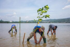 Men plant mangrove seedlings in Kendari, Indonesia on 18 February 2021. Credit: Alamy Stock Photo