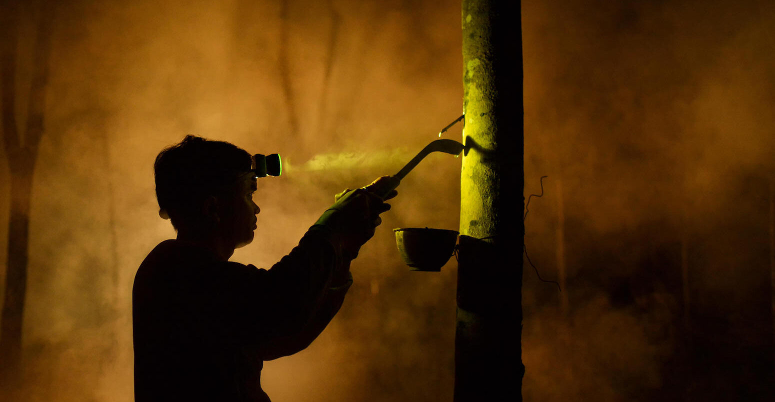 Man tapping rubber tree at night, Sakolnakhon, Thailand.