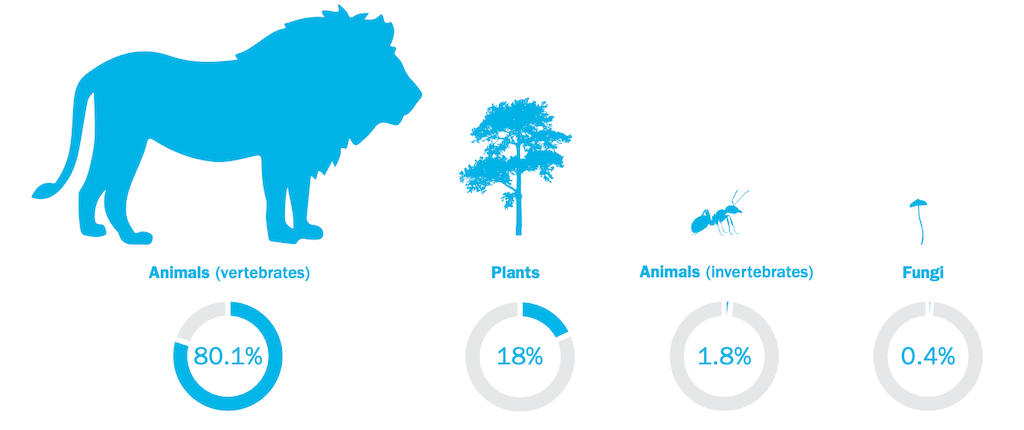 The number of IUCN red-list assessments for four groups of organisms arranged in decreasing order by the percentage of formally described species that have been assessed for extinction risks.