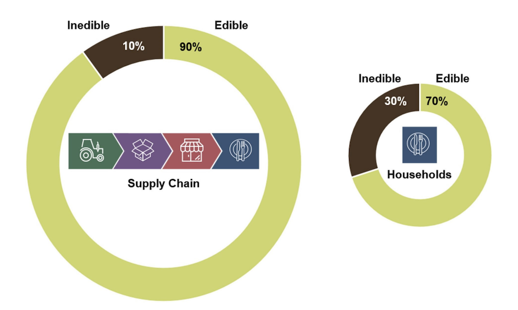 Estimates of food loss and waste data show that, by weight, approximately 90% of food loss and waste in the supply chain (left) is edible (green) and 10% is inedible (brown).