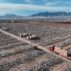 Workers speed up installation of photovoltaic panels at the construction site of the solar power generation project in Zhangye, China.