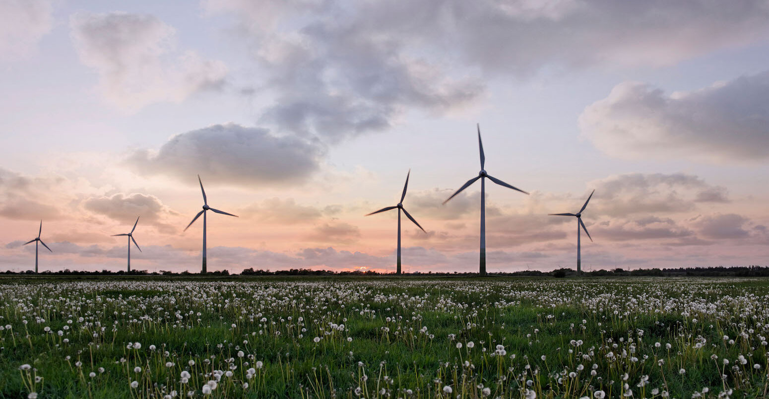 Silhouette of wind turbines in sunset.