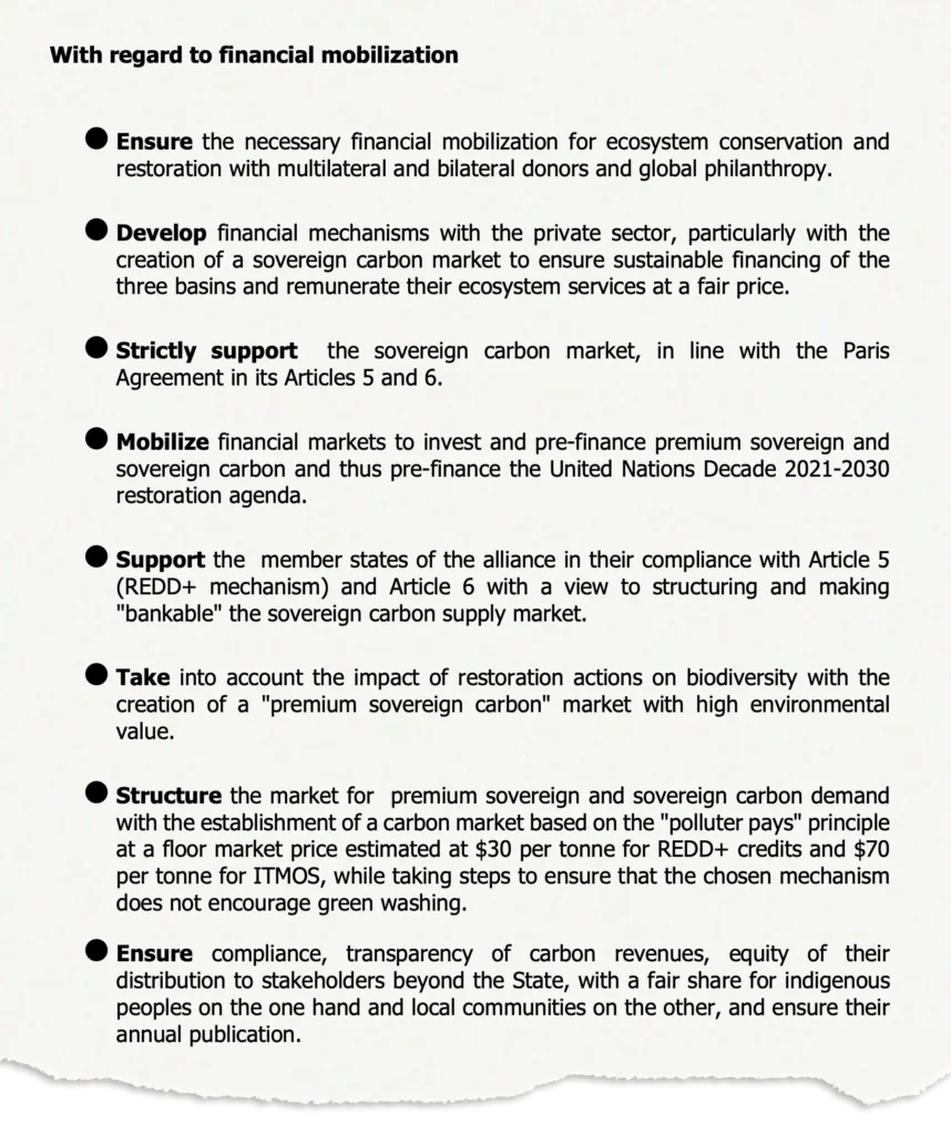 Financial mobilisation options in a draft declaration of the second Three Basins Summit. 