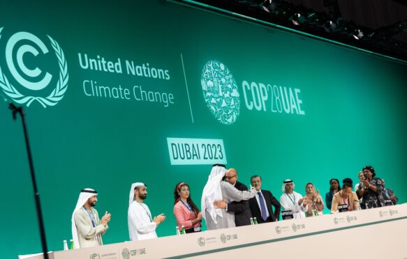 COP28 closing plenary, Dubai, United Arab Emirates. Credit: UNFCC / Kiara Worth / Flickr.