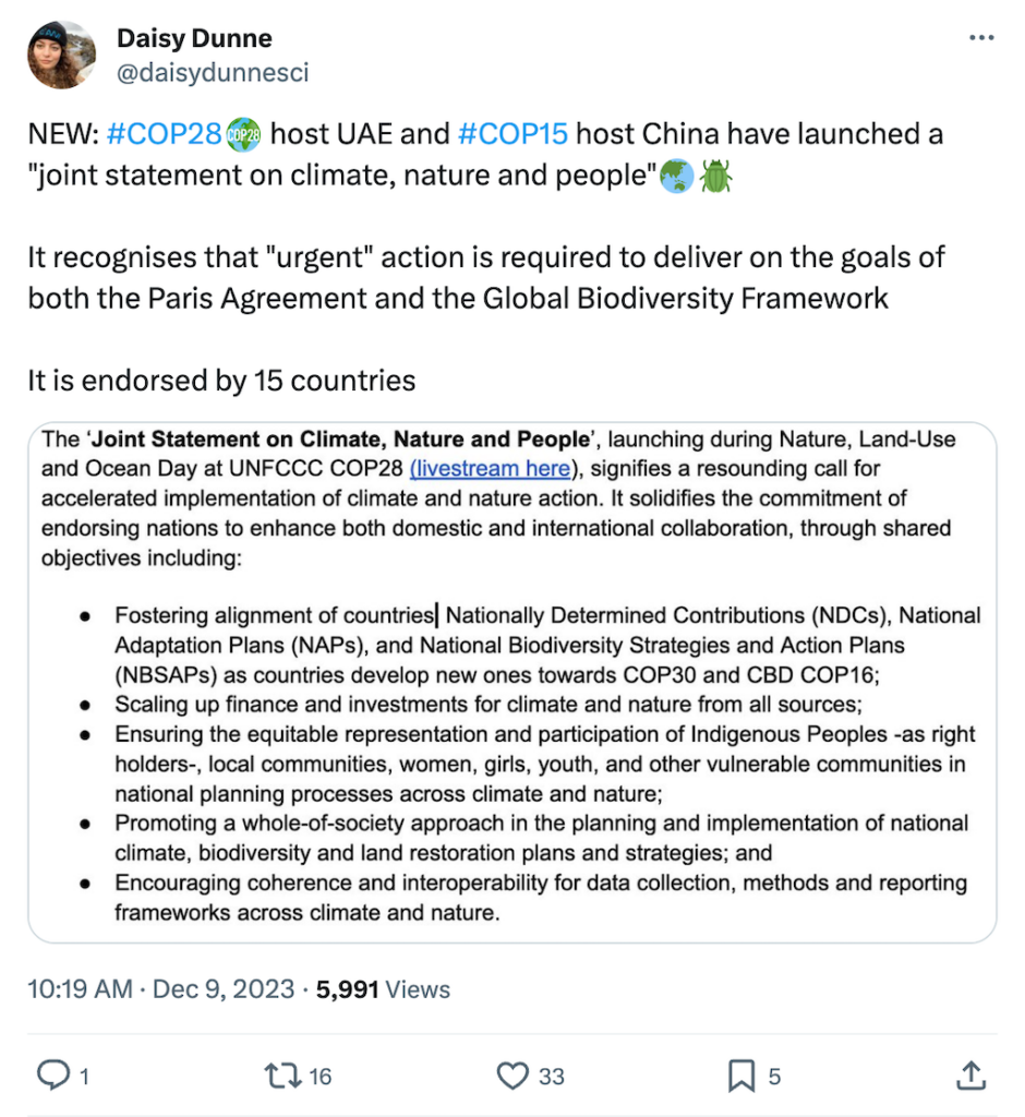 Daisy Dunne @daisydunnesci tweet. Text: NEW: #COP28 host UAE and #COP15 host China have launches a "joint statement on climate, nature and people". It recognises that "urgent" action is required to deliver on he goals of both the Paris agreement and the Global Biodiversity Framework. It is endorsed by 15 countries.