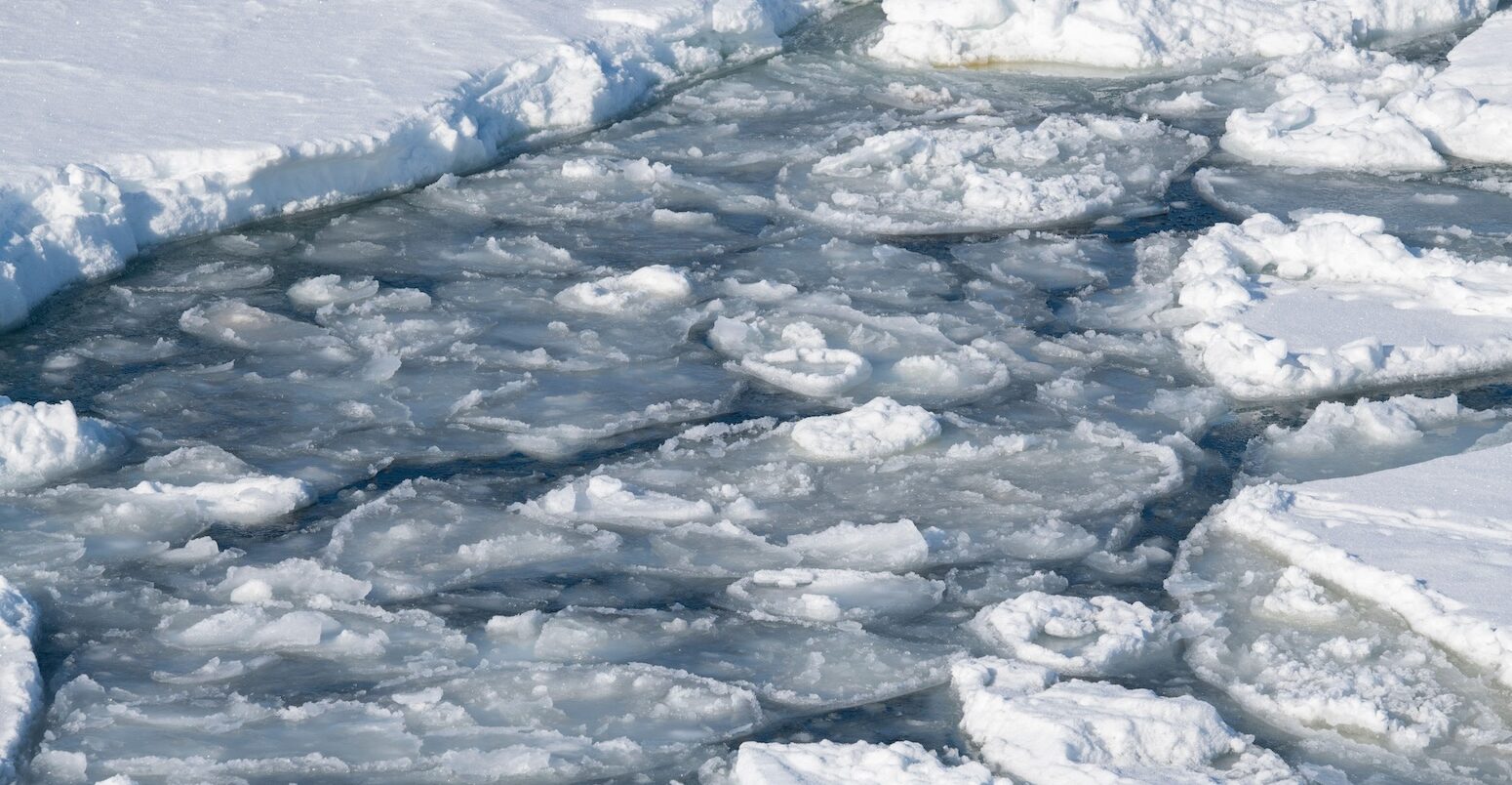 Antarctic sea ice.