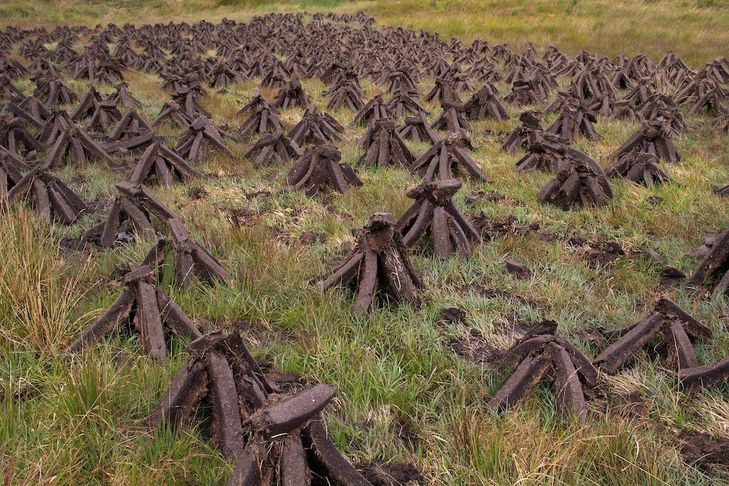 A stock photo of stacked peat blocks, drying in the wind and sun.