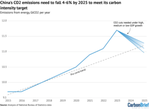 Analysis: Record drop in China's CO2 emissions needed to meet 2025 ...