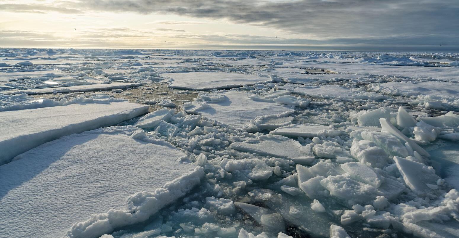 Broken pieces of Arctic sea ice in Svalbard, Norway.