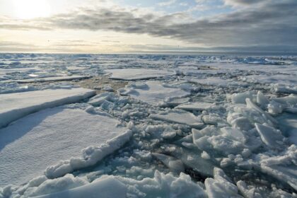 Broken pieces of Arctic sea ice in Svalbard, Norway.