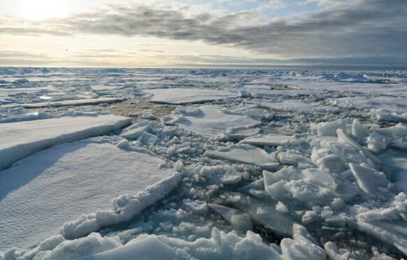 Broken pieces of Arctic sea ice in Svalbard, Norway.