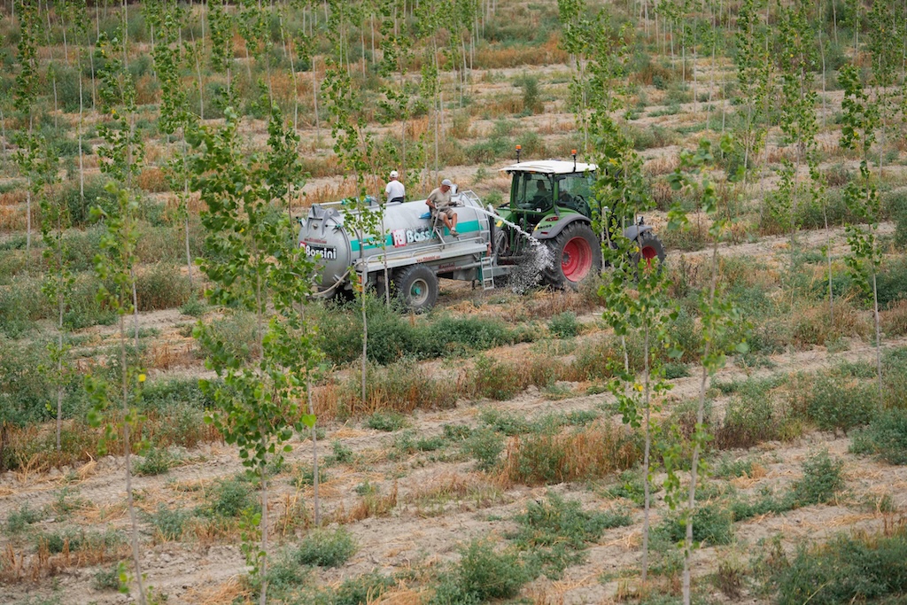 Farmers irrigating trees with a tank truck next to the riverbed of the Po river amid drought conditions in Ficarolo, Italy, on 28 July 2022.