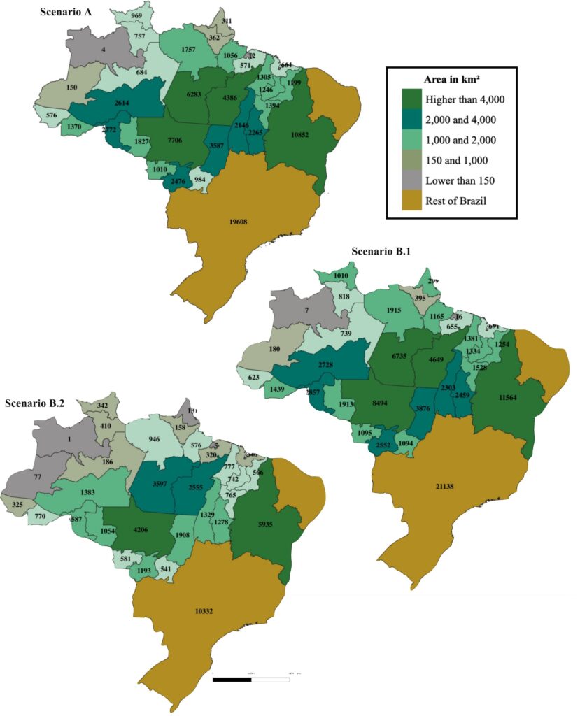 Avoided deforestation due to dietary shift in Brazil for the period 2022-50. The darker (lighter) greens indicate higher (lower) amounts of avoided deforestation, and the tan colour indicates the areas of Brazil that are not part of the legal Amazon or the Matipoba region. The numbers give the total amount, in km2. Under scenario A (top), diets changed due to changes in consumer preferences. Scenario B.1 (middle) shows a change in diet due to a tax on beef. Scenario B.2 (bottom) is similar to scenario B.1, but the income from the beef tax has been applied to subsidise other foods. Source: Parzianello and Carvalho (2024)
