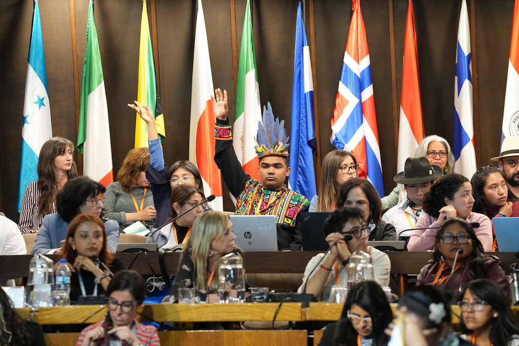 Indigenous and young representatives in the Escazú negotiations at COP3.