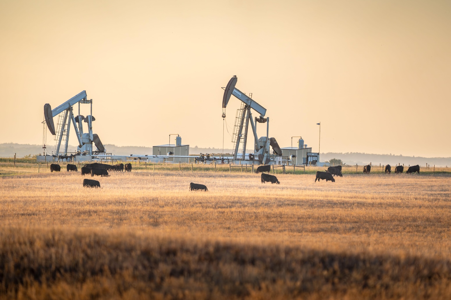 Major emitters ‘may retain or expand’ fossil fuels despite net-zero plans Major emitters ‘may retain or expand’ fossil fuels despite net-zero plans
